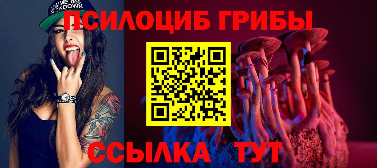 Галлюциногенные грибы Magic Shrooms Кимры